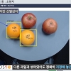 스타트업 오에스원 딥러닝·컴퓨터 비전으로 ‘농산물 자동 선별기’ 개발 박차