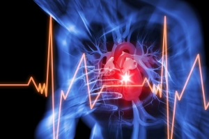 다른 성질의 두 줄기세포로 심근경색 심장 근육 되살린다