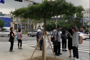 대왕참나무로 ‘자연 그늘’…더 시원한 마포구