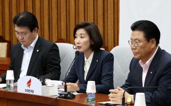 자유한국당 나경원 원내대표가 23일 국회에서 열린 원내대책회의에서 발언하고 있다. 2019.7.23 연합뉴스