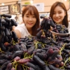 [서울포토] 마녀포도라 불리는 ‘스윗 사파이어 포도’ 맛보세요~