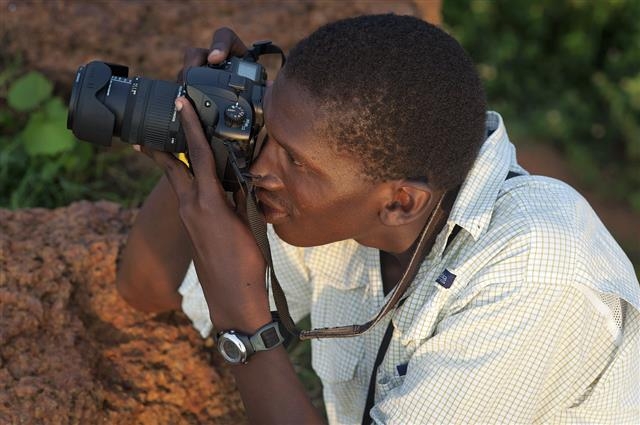 아프리카 사파리를 찾은 관광객들이 추억을 남기기 위해 찍은 사진들이 의외로 야생동물들의 생태 환경과 분포 등을 파악하는 데 유용하게 쓰여 생태 보호에 도움을 줄 수 있다는 연구 결과가 나왔다. 픽사베이 제공