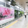 (사)한국미술협회, 지하철 스크린 도어와 미술 작품의 만남… 6호선 3개역에 미술 이미지 전시