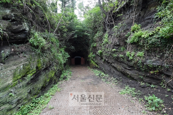 일제는 비행장과 격납고, 고사포 진지와 함께 셋알오름 일대에 동굴진지를 건설했다. 제주 오장환 기자 5zzang@seoul.co.kr