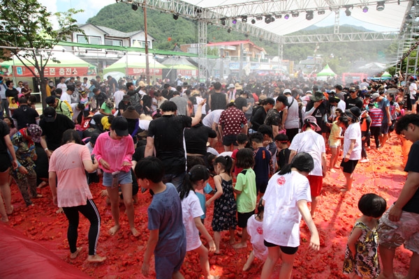 많은 관광객이 ‘화천 토마토축제’를 즐기고 있다.