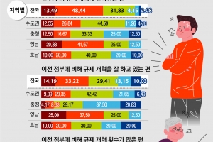 “왜 저기, 또 쟤네만 풀어주나”…규제완화 땐 특혜·부패 시비