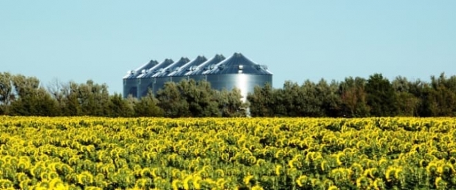 바이오연료 활용을 위한 유채, 옥수수, 목재 확보를 위해 토지를 무분별하게 이용할 경우 오히려 기후변화를 가속화시키게 된다는 지적이 나왔다.