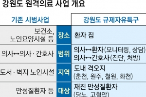 유일하게 참여한 동네의원 “원격의료는 못 한다” 난색