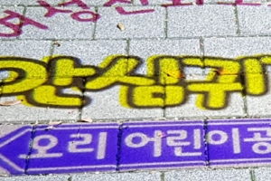 성남시 여성 안심 귀갓길 로고젝터 13곳 설치