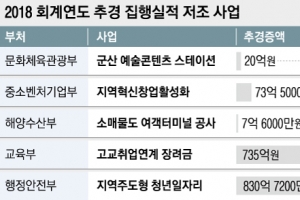 작년 추경 신규사업 5건, 1원도 집행 안 했다