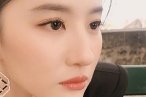 “부끄러운 일” 유역비, 홍콩 경찰 지지에 영화 ‘뮬란’ 불똥