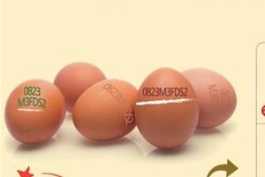 이천시, 23일부터 달걀 껍데기 ‘산란일자 표시제’ 전면 시행