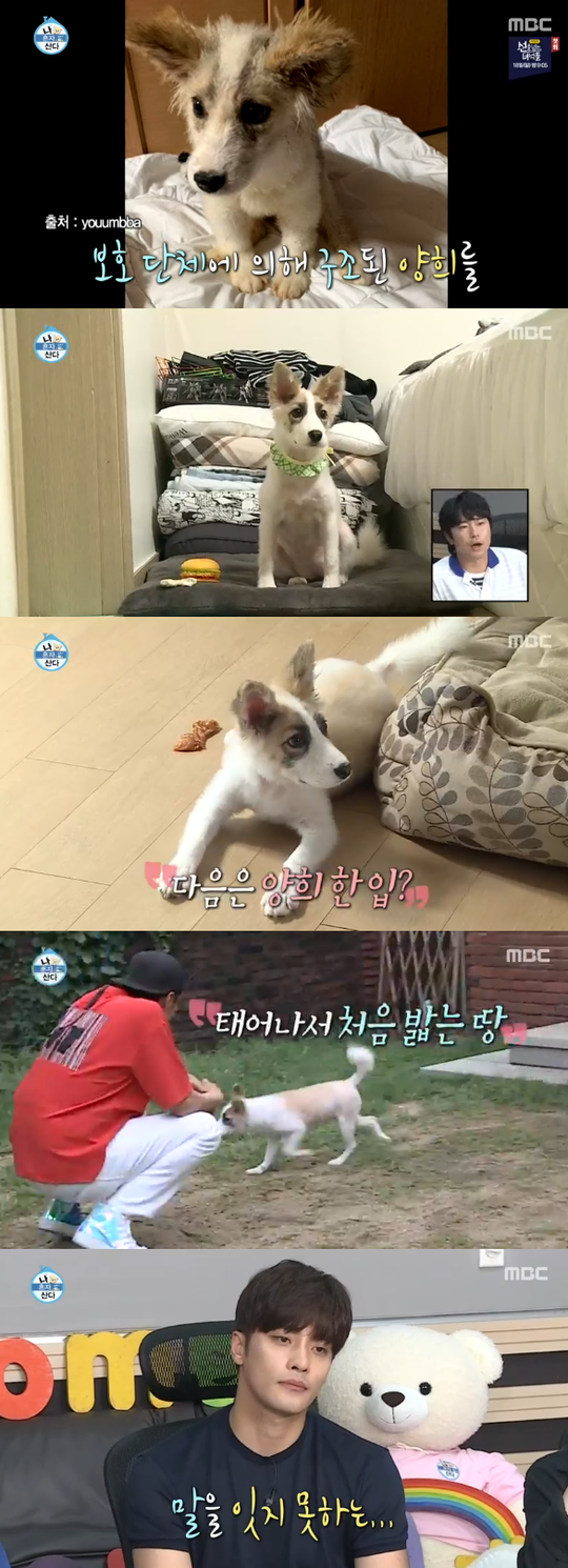 나혼자산다 성훈