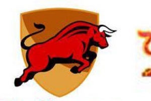 대법 “불스원 붉은 소 상표, 레드불 모방”