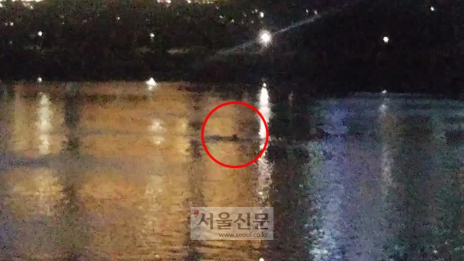 술을 마신 50대 여성이 지난 19일 오후 서울 송파구에 있는 석촌호수 안으로 들어가 수영을 하고 있다.
