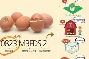 여주시  23일부터 달걀 산란일자 표시제