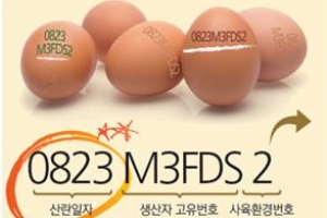 인천 23일 부터 달걀 산란일자 표시 의무화