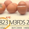 인천 23일 부터 달걀 산란일자 표시 의무화