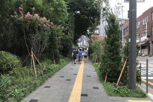 미세먼지 줄이는 자연 친화 생태숲길