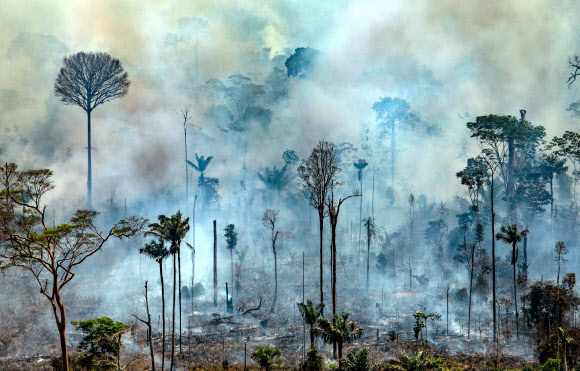 꺼지지 않는 아마존 산불 