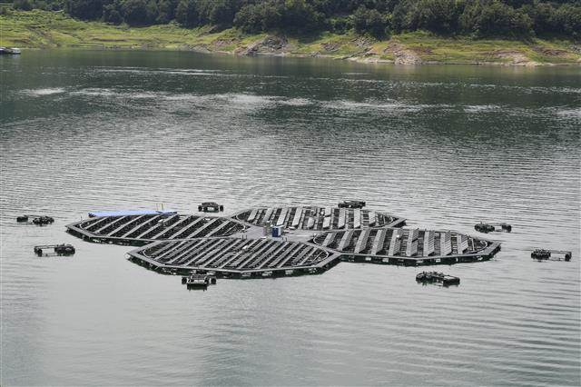 한국수자원공사가 지역주민 참여사업으로 국내 최대인 합천댐 수상태양광 사업을 추진하고 있다. 한국수자원공사 제공
