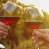 오늘밤 레드와인 한잔? 장 건강에도 좋다는 연구 결과에 ‘화색’