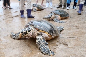 고향으로 돌아가 새 삶을