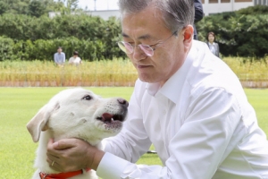 [포토인사이트] 북에서온 풍산개 ‘곰이’ 2세들 분양가요
