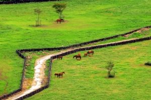 말이 살찌는 계절