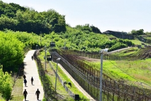 한반도 ‘치유의 길’… 세계인 평화 트레킹, 비무장 지대 속으로