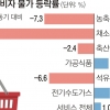정부·한은 “디플레 아니다” vs 전문가 “일본식 불황 초입”