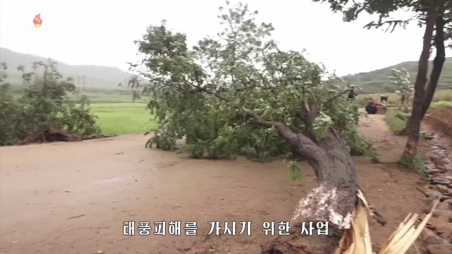 북한 TV, 태풍 ‘링링’ 피해 보도