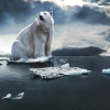 인공위성 빅데이터 분석으로 북극 온난화 예측한다