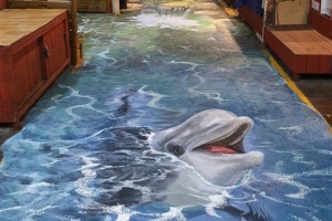 은평 신응암시장에 나타난 돌고래