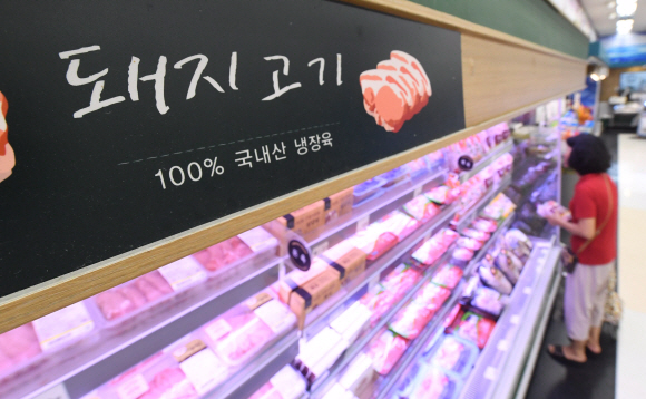 18일 경기 파주시에 이어 연천군에서도 아프리카돼지열병(ASF)이 발생하면서 돼지고기값이 상승 조짐을 보이고 있다. 사진은 이날 서울의 한 대형마트에서 돼지고기를 고르고 있는 고객의 모습. 정연호 기자 tpgod@seoul.co.kr