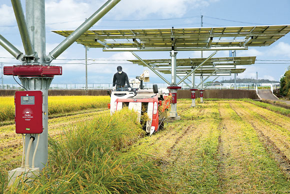영농형태양광 발전시설은 대형 농기계의 통행과 회전, 기후변화에 대응력이 뛰어나다.