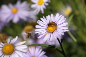 [주말날씨] 제주·남부지방은 주말 내내 비…중부지방 토요일 맑은 날씨