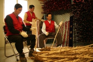 왕이 하사한 지팡이 ‘청려장’ 아시나요