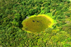 가을색 물드는 습지