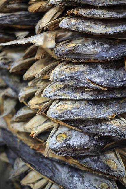 어업이 저개발 빈곤국가들의 훌륭한 영양 공급 수단이 될 수 있다는 연구 결과가 나왔다. 인도양 인근 어촌 마을에서 말리고 있는 생선. 네이처 제공