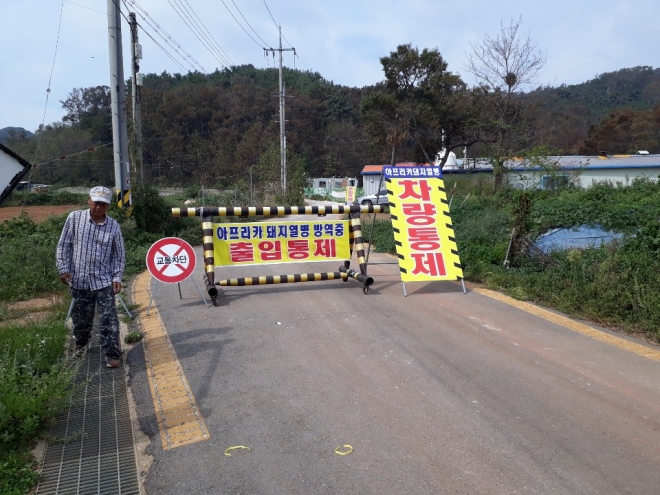 옹진군이 돼지열병 유입 차단을 위해 외부인들의 출산농가 출입을 철저히 통제하고 있다.