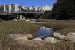안양시, 자연자원 보고 비산·학운·동안 3개 습지 복원 마무리