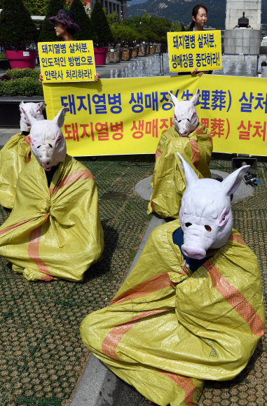 26일 서울 광화문광장에서 동물보호단체 회원들이 아프리카돼지열병과 관련해 돼지들이 비인도적인 살처분을 당하고 있다면서 동물권 보호를 주장하는 퍼포먼스를 하고 있다. 박지환 기자 popocar@seoul.co.kr