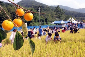 [주말날씨] 일요일 아침 북쪽 찬 공기 내려와 쌀쌀...‘반팔 옷’ 더위 끝