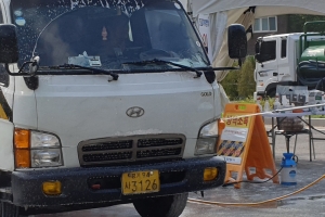 안양시, 지역 농가 사육 돼지 42마리 모두 조기 출하.