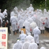 ‘ASF 방역’ 과로로 쓰러진 파주시 공무원 끝내 숨져