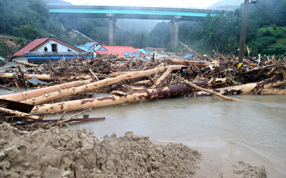 삼척 신남마을 폭우 피해