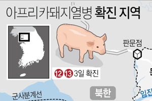 김포 통진읍 돼지열병 추가 확진…2만2525마리 살처분