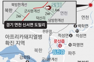 경기 남부로 번지면 양돈 메카 충청 위협… 돼지열병 차단 ‘총력전’