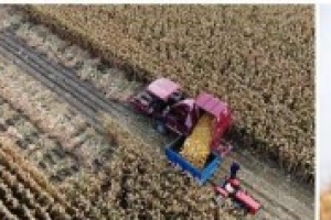 ‘아내의 맛’ 함소원♥진화, 中 시부모 10만평 농장 공개 ‘입이 떡’